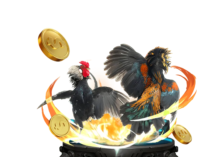 Tổng quan đá gà trực tuyến 1win